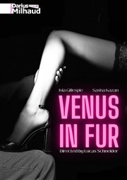 Venus in fur Thtre Darius Milhaud Affiche