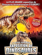 Le Musée Éphémère® : Exposition de dinosaures à Narbonne Narbonne Arena Affiche