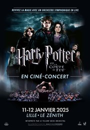 Harry Potter et la coupe de Feu en ciné-concert | Lille Znith Arena de Lille Affiche