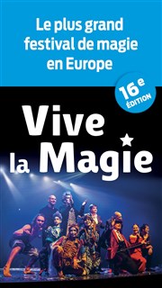 Festival International Vive la Magie | Amiens Auditorium Megacit Affiche