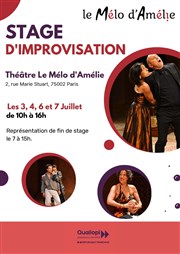 Stage d'improvisation Thtre Le Mlo D'Amlie Affiche